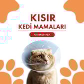 Kısır Kedi Mamaları